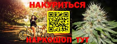 спайс Малгобек