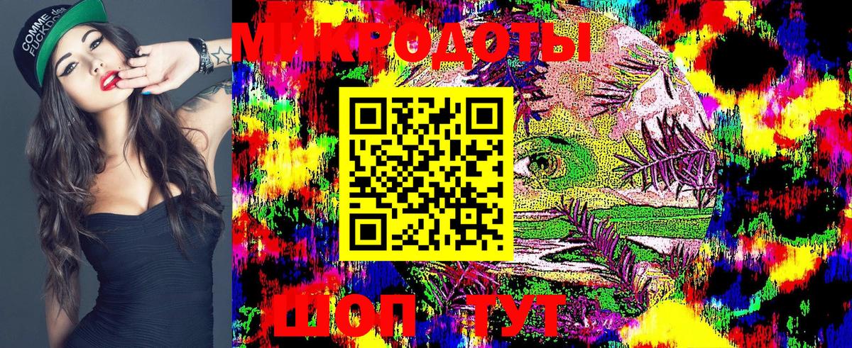Псилоцибиновые грибы ЛСД  Галлюциногенные грибы GOLDEN TEACHER  Гудермес  купить наркоту  Вход с VPN 